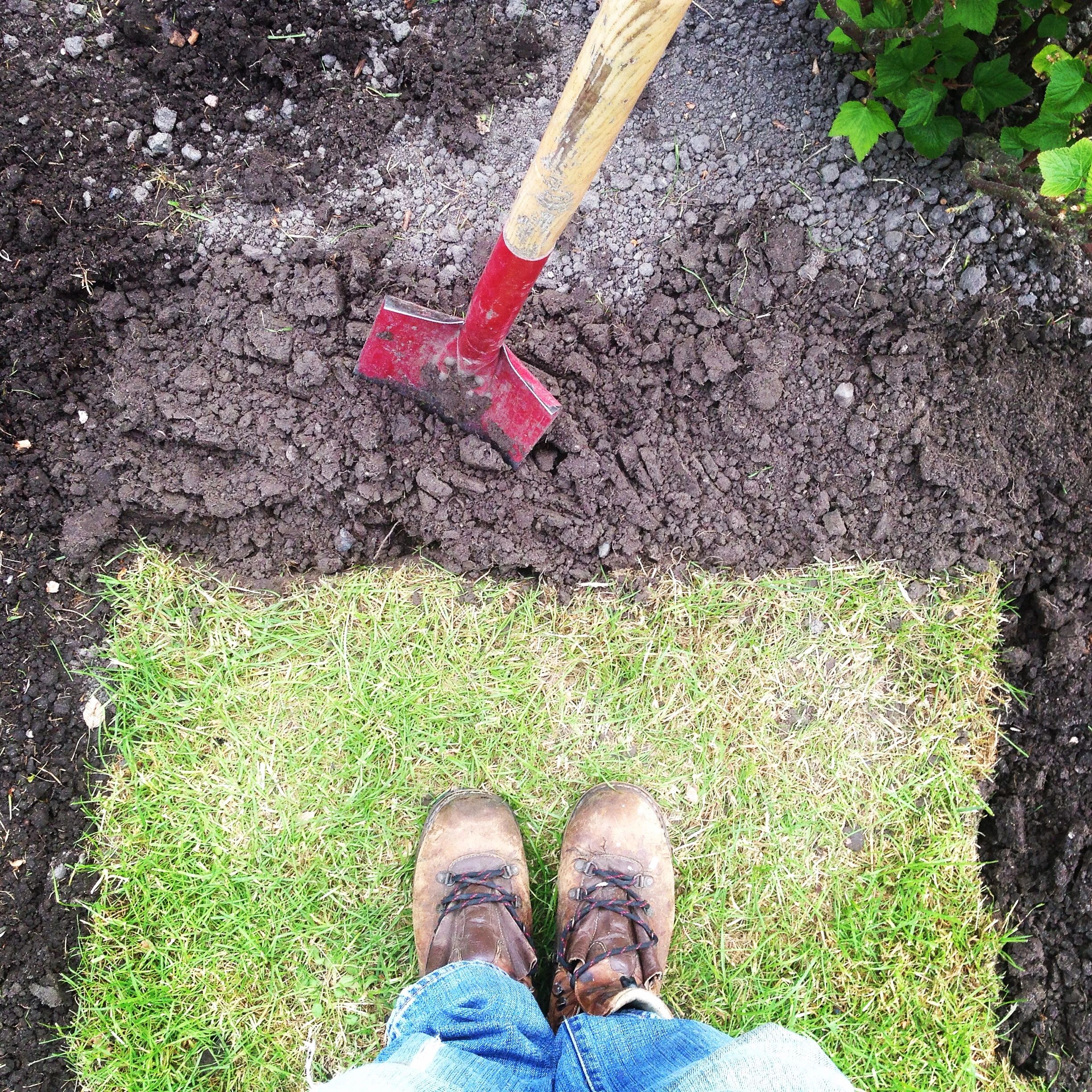 Before: garden landscaping preparation