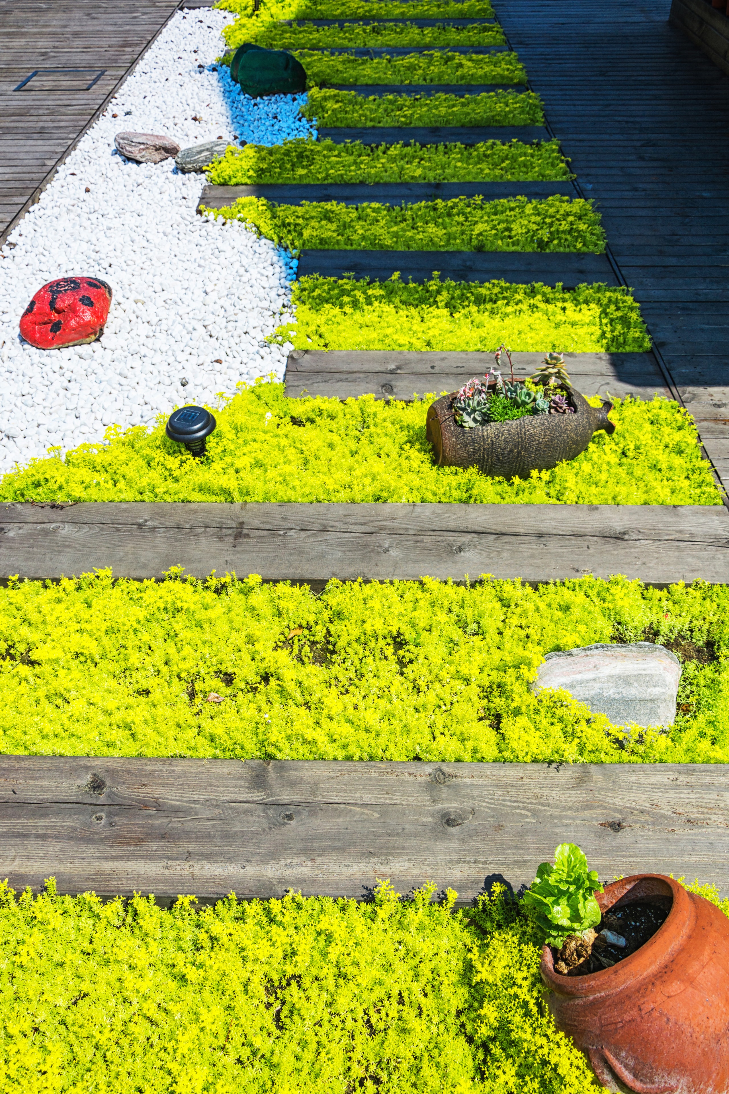 Timber decking with moss ground cover and decorative stone garden